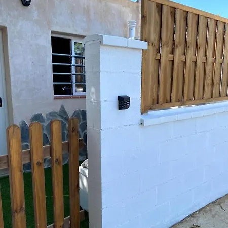 Estudios Eucalyptal A 100 M Del Mar
