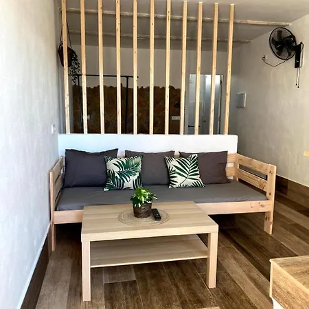 Estudios Eucalyptal A 100 M Del Mar * El Palmar de Vejer