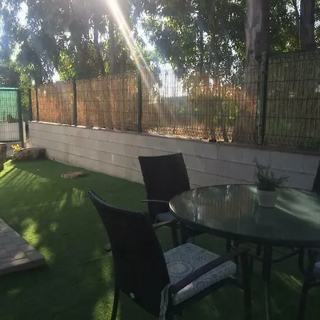 Estudios Eucalyptal A 100 M Del Mar *