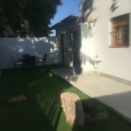 Estudios Eucalyptal A 100 M Del Mar
