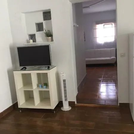 Estudios Eucalyptal A 100 M Del Mar